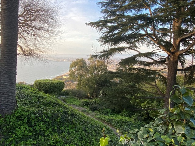 MLS #PV25138008 image #14