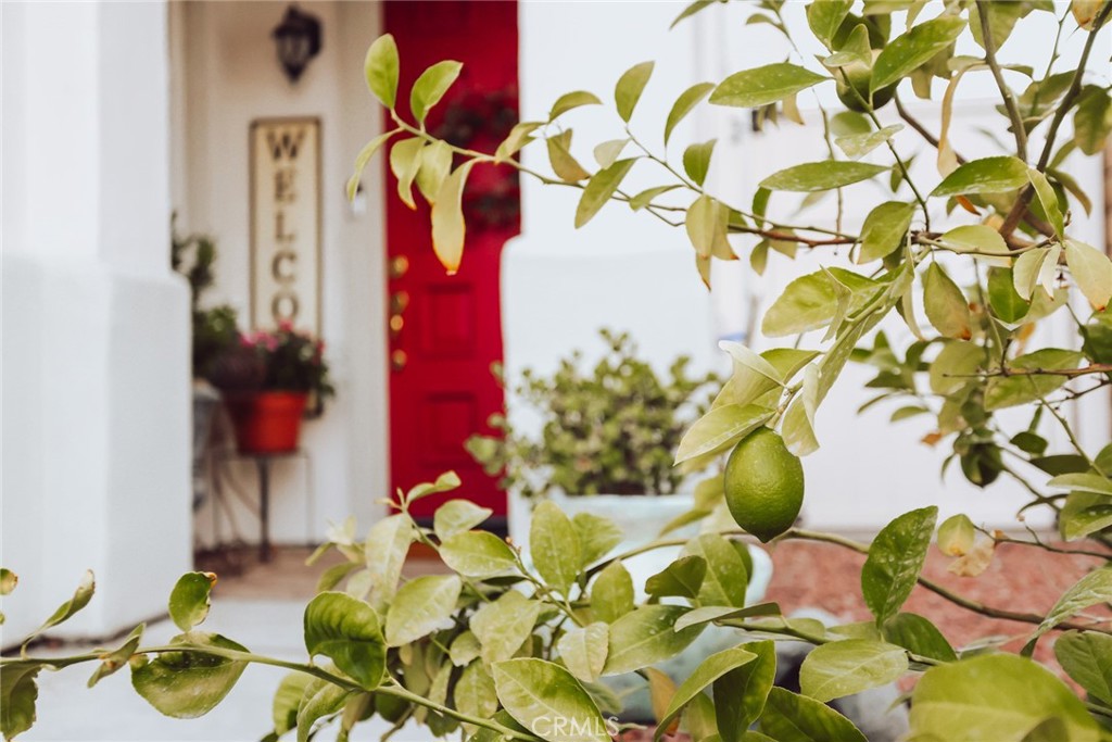 MLS #PV25214994 image #19