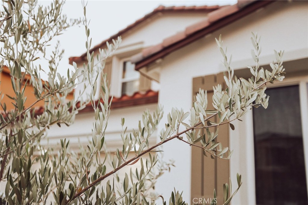 MLS #PV25214994 image #20