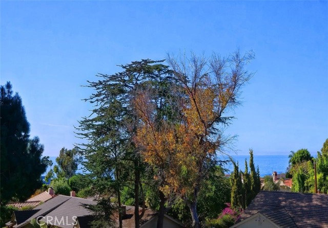 MLS #PV25223053 image #44