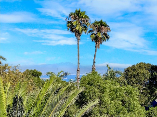 MLS #PV25226083 image #32