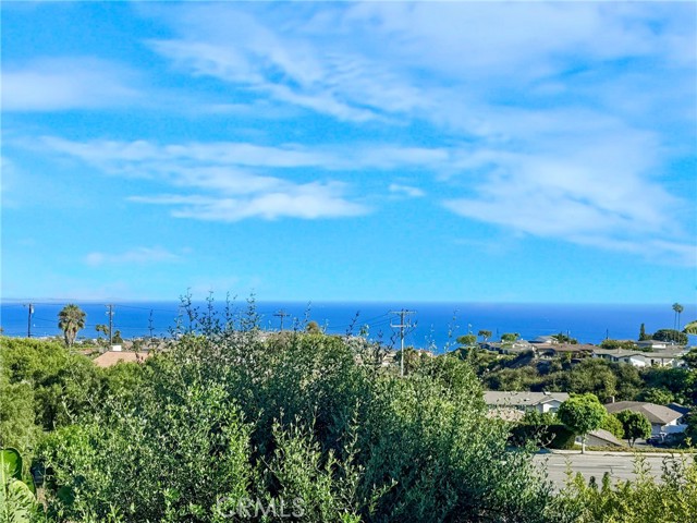 MLS #PV25226083 image #33