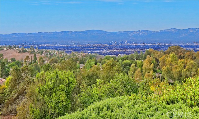 MLS #PV25230760 image #29