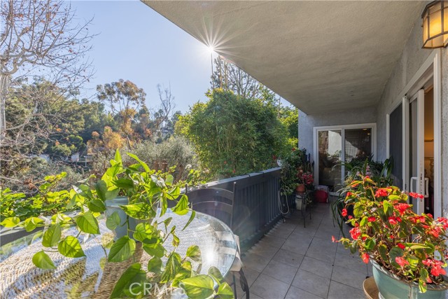 MLS #PV25241216 image #18