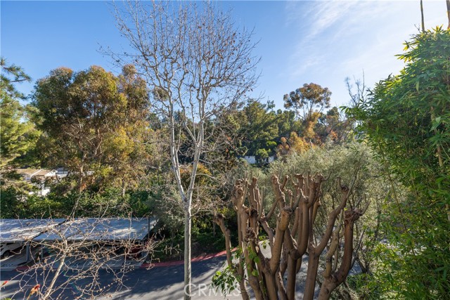 MLS #PV25241216 image #24