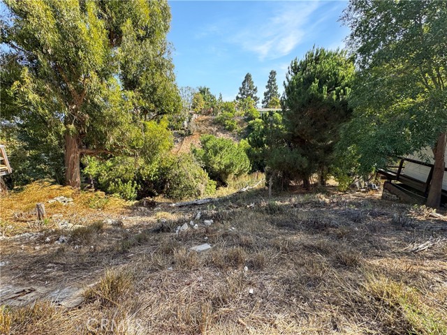 MLS #PV25241260 image #22