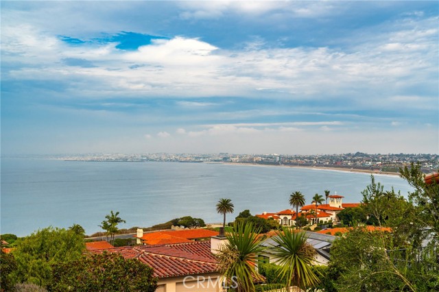 MLS #PV25249382 image #46