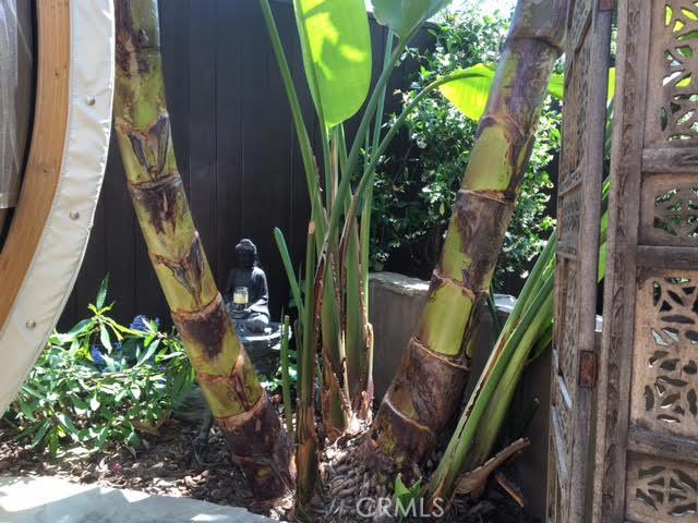 MLS #PV25257034 image #46