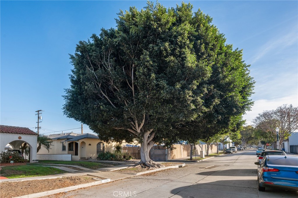 MLS #PV25258124 image #30