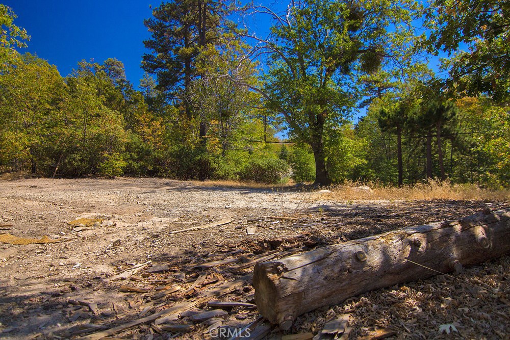 MLS #PW20002447 image #13