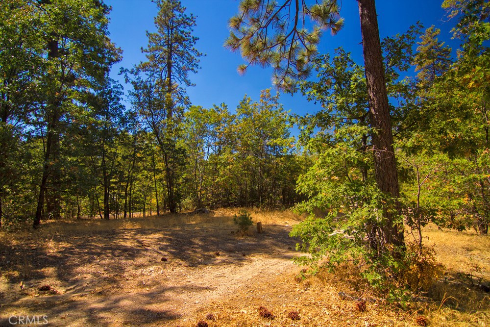 MLS #PW20002447 image #15