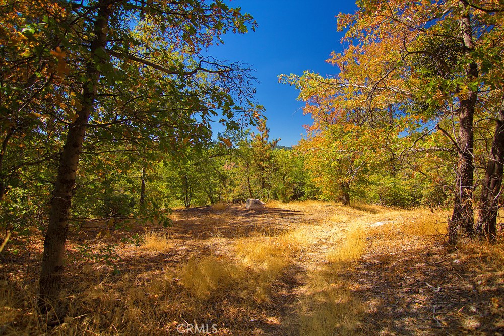 MLS #PW20002447 image #16