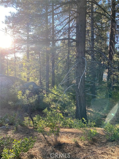 MLS #PW20178991 image #0