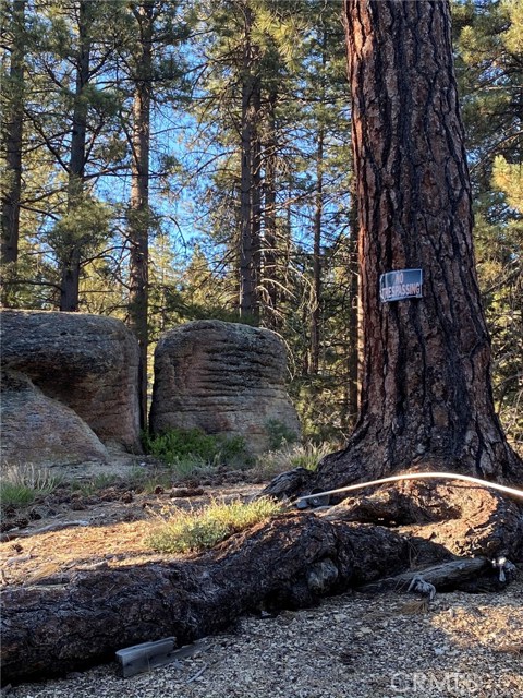 MLS #PW20178991 image #10