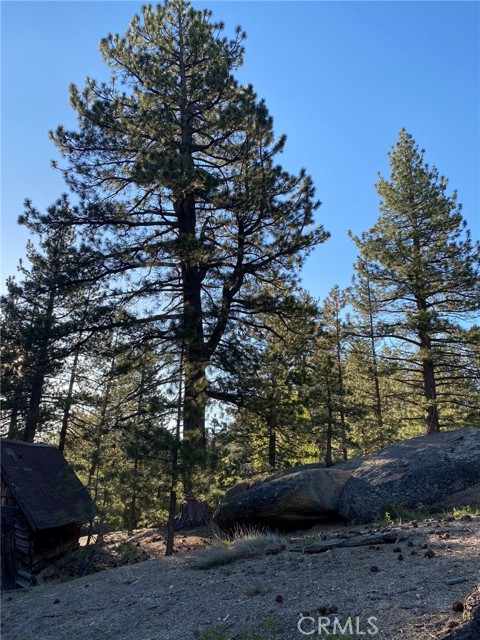 MLS #PW20178991 image #18