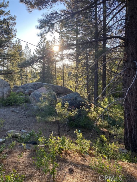 MLS #PW20178991 image #21