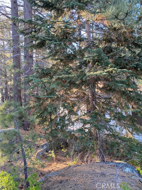 MLS #PW20178991 image #24