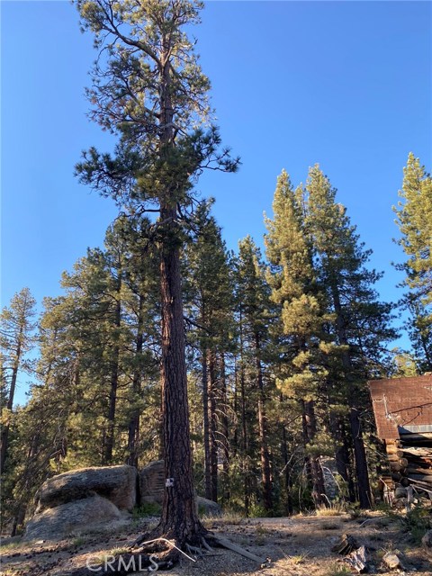 MLS #PW20178991 image #7