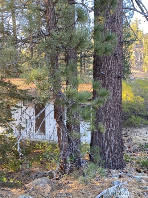 MLS #PW20178991 image #8