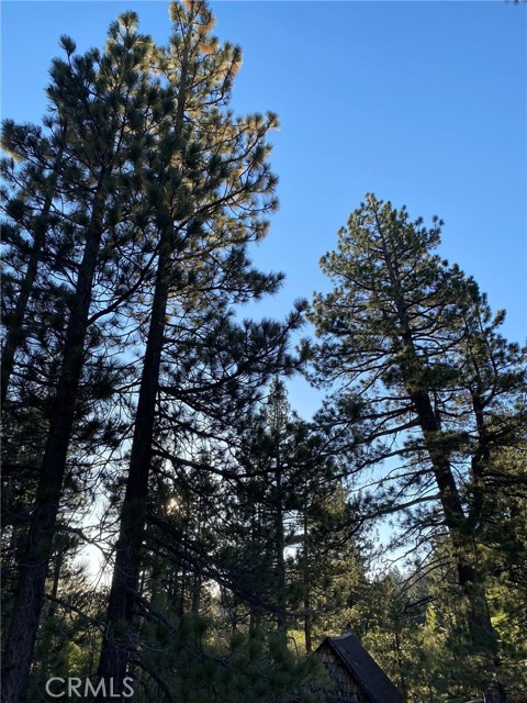 MLS #PW20178991 image #9