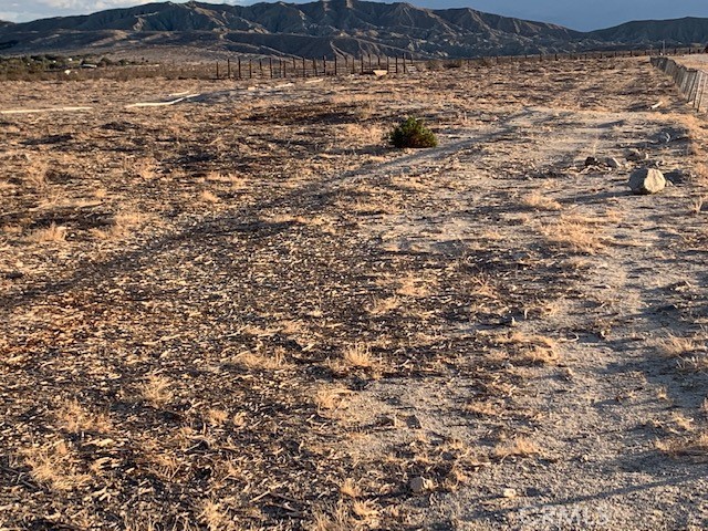 MLS #PW23143398 image #7