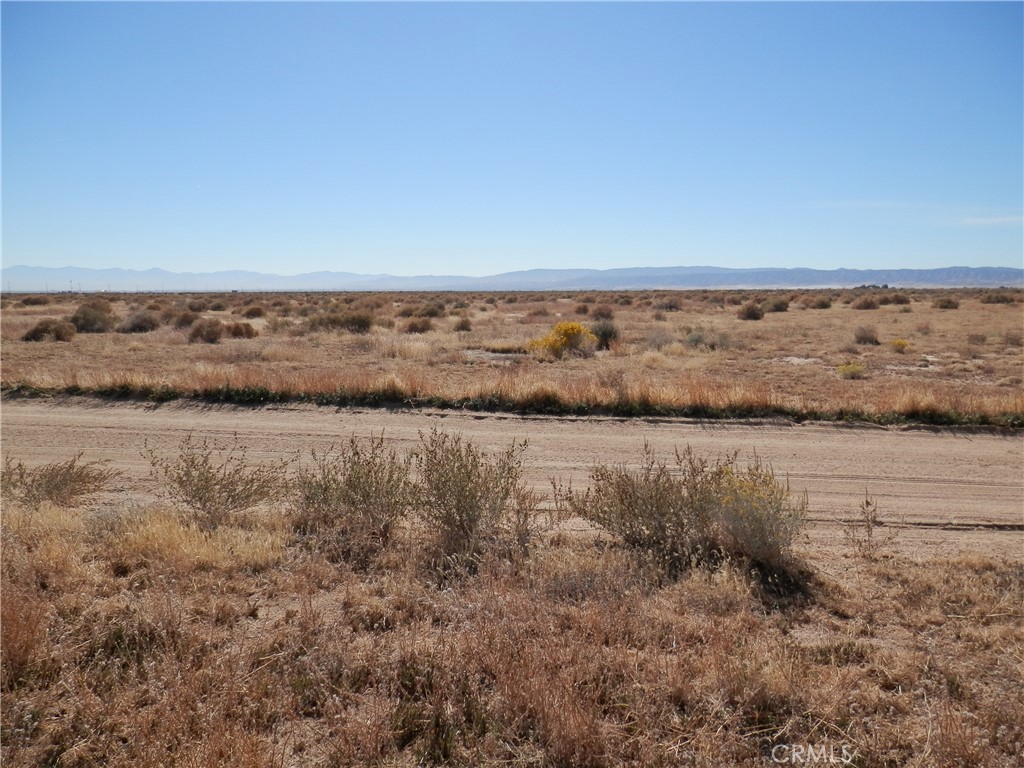 MLS #PW23203442 image #3