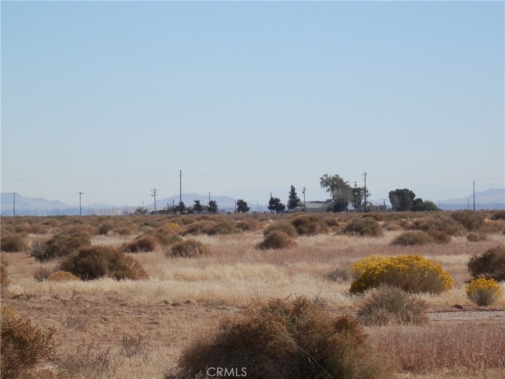 MLS #PW23203442 image #6