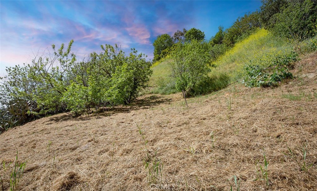 MLS #PW24095238 image #15