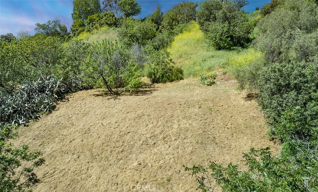 MLS #PW24095238 image #20