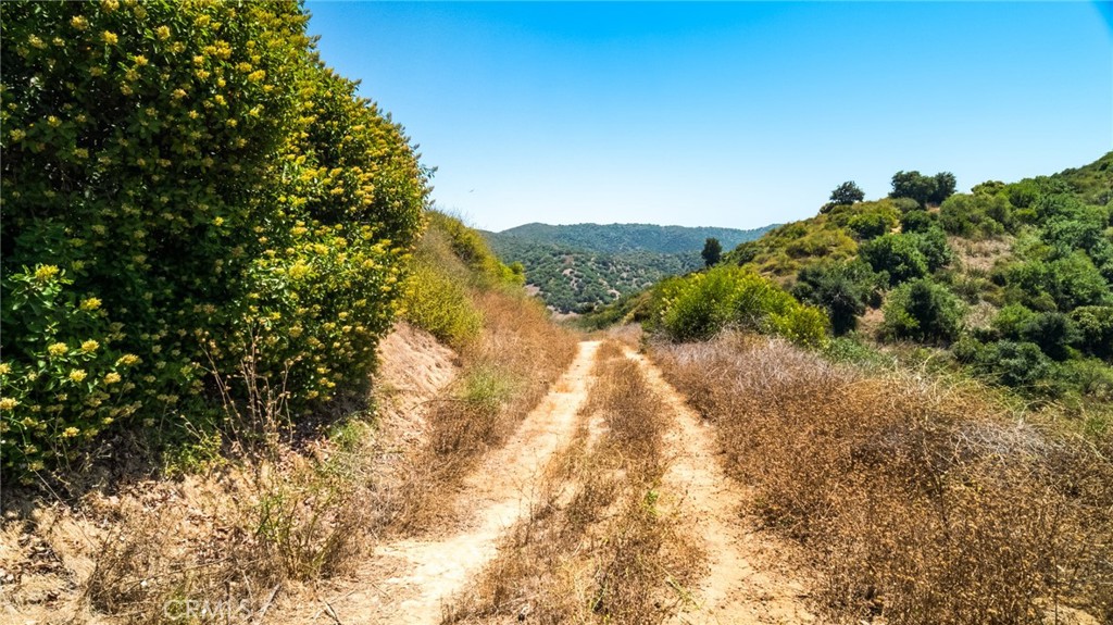 MLS #PW24146766 image #11