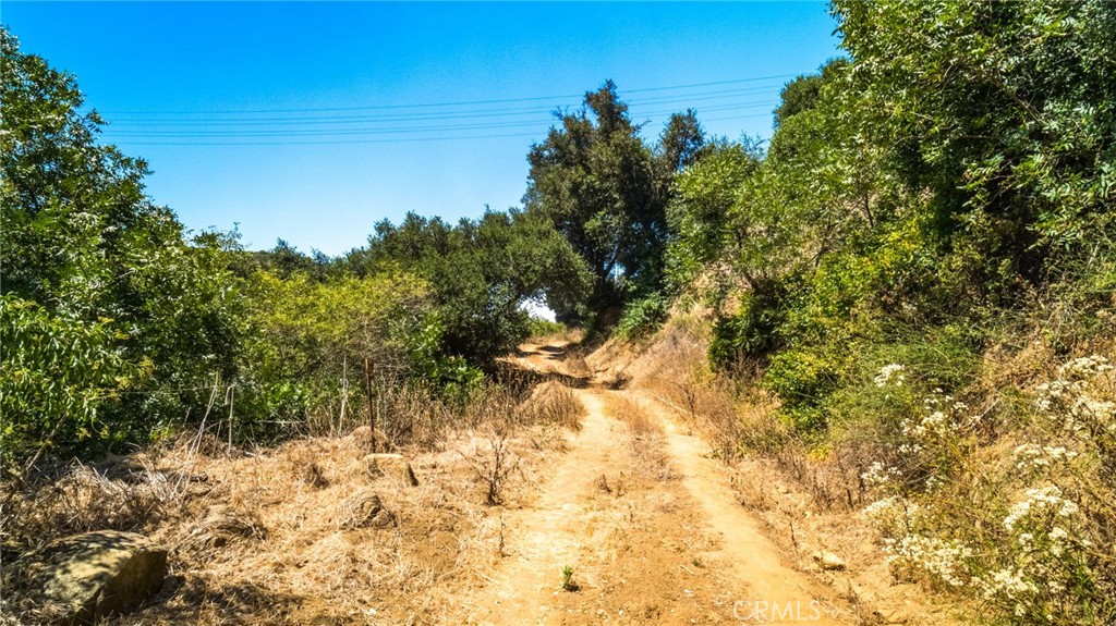 MLS #PW24146766 image #12