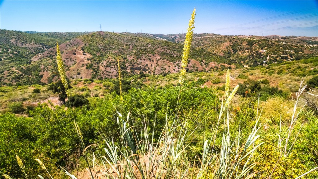 MLS #PW24146766 image #6