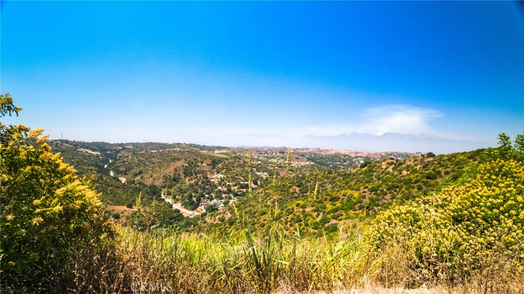 MLS #PW24146766 image #7