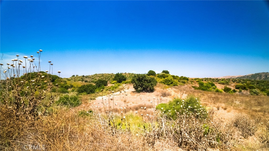 MLS #PW24146766 image #8