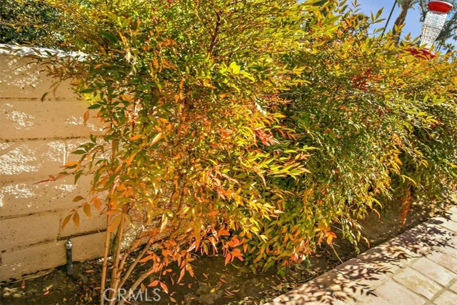 MLS #PW24212669 image #31