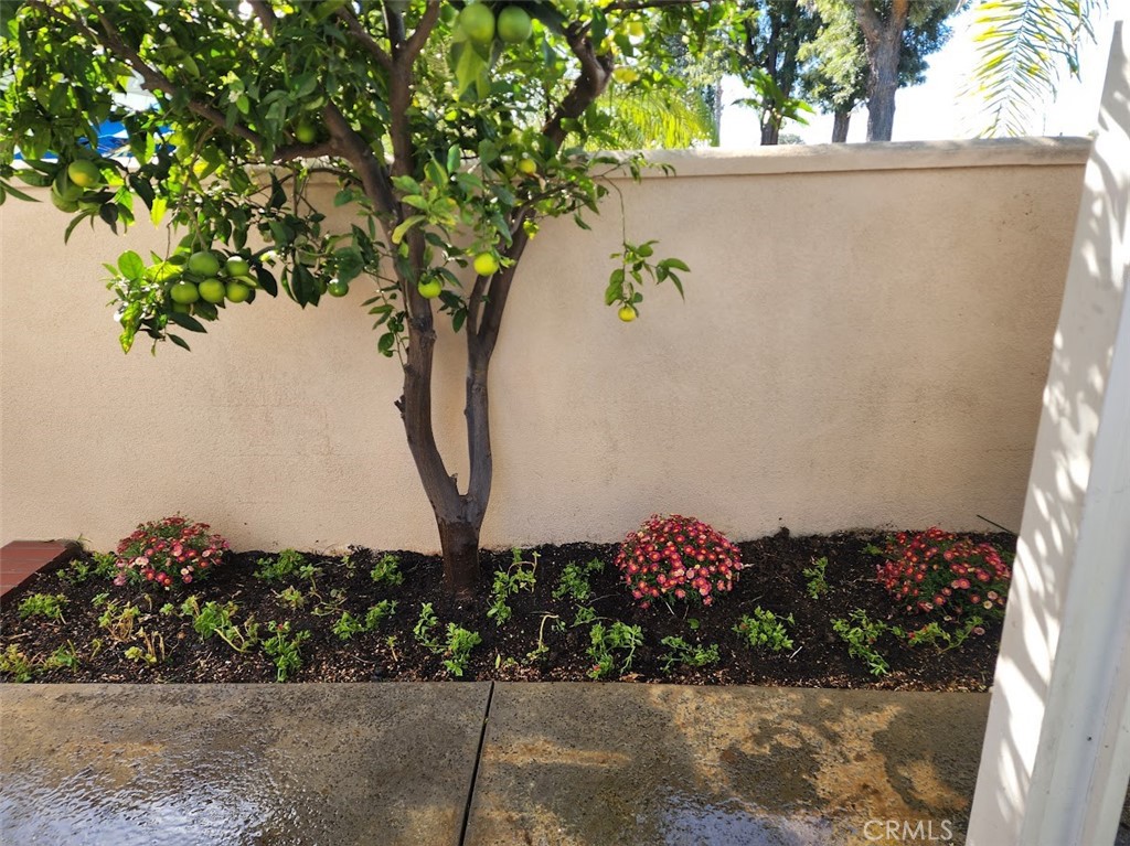 MLS #PW24230801 image #33