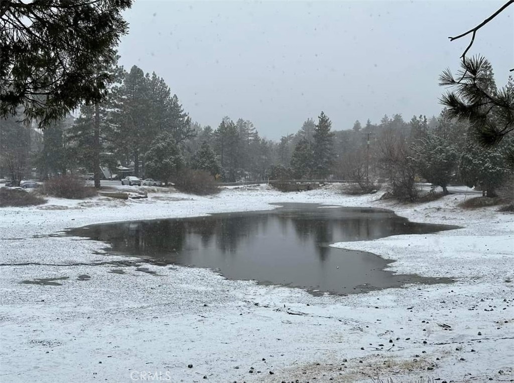 MLS #PW25016467 image #10