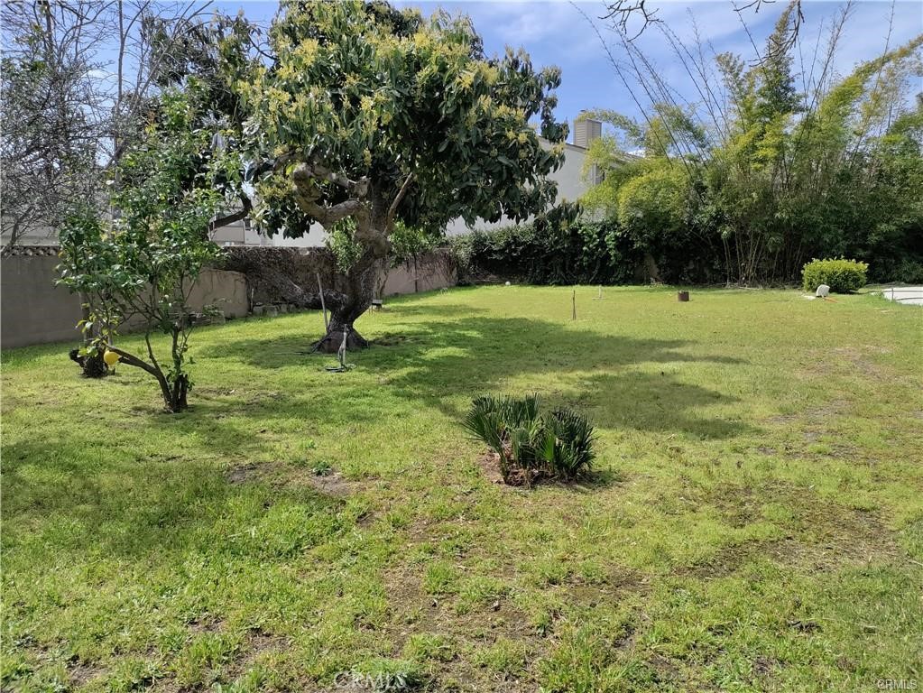 MLS #PW25026313 image #6