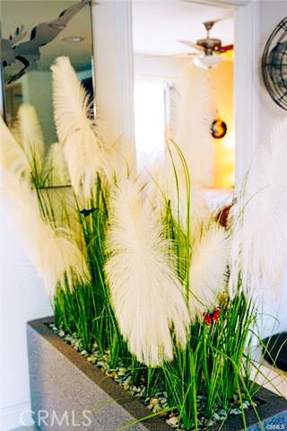 MLS #PW25026577 image #35