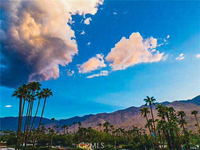 MLS #PW25026577 image #38