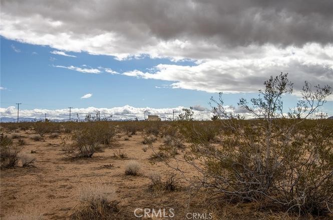 MLS #PW25037996 image #3