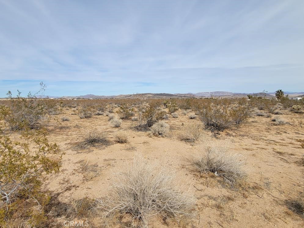 MLS #PW25037996 image #4