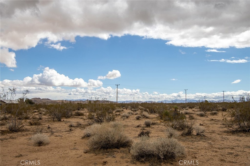 MLS #PW25037996 image #6