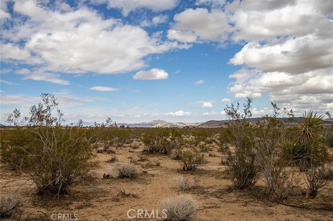 MLS #PW25037996 image #7