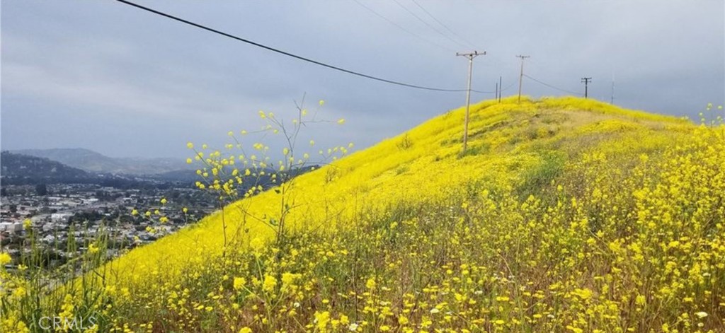 MLS #PW25039713 image #3