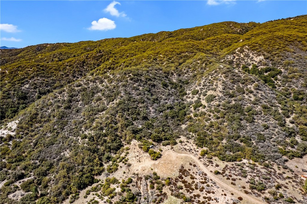 MLS #PW25064079 image #12