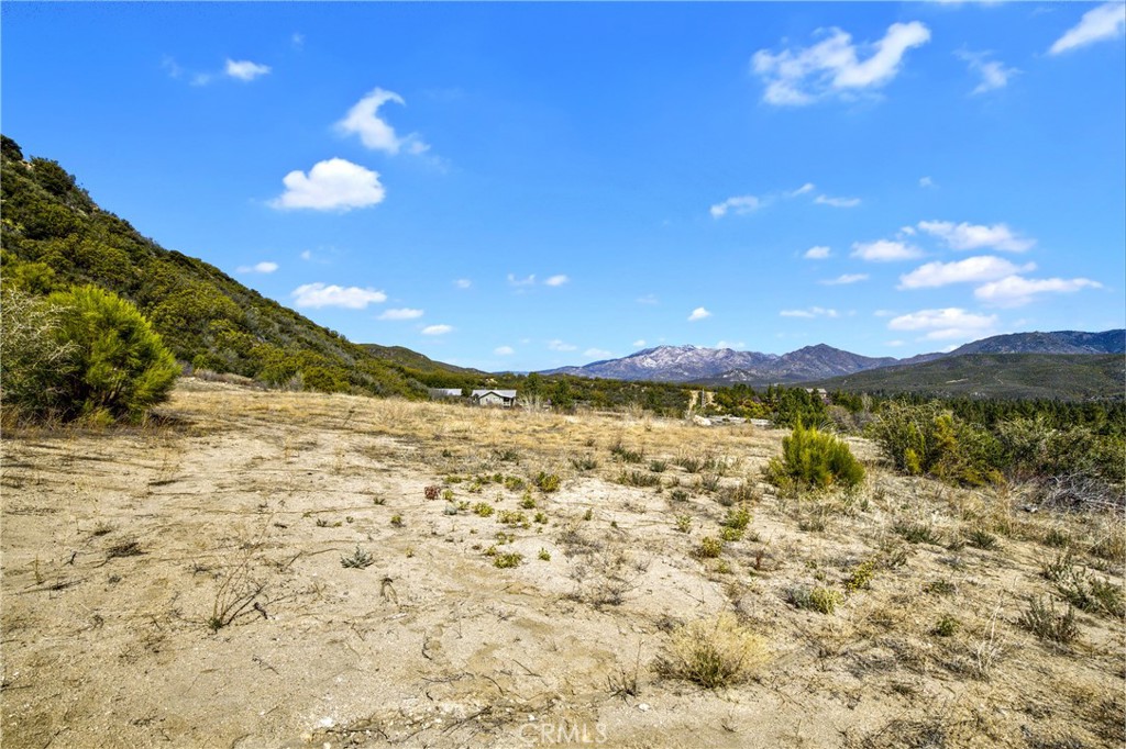 MLS #PW25064079 image #21