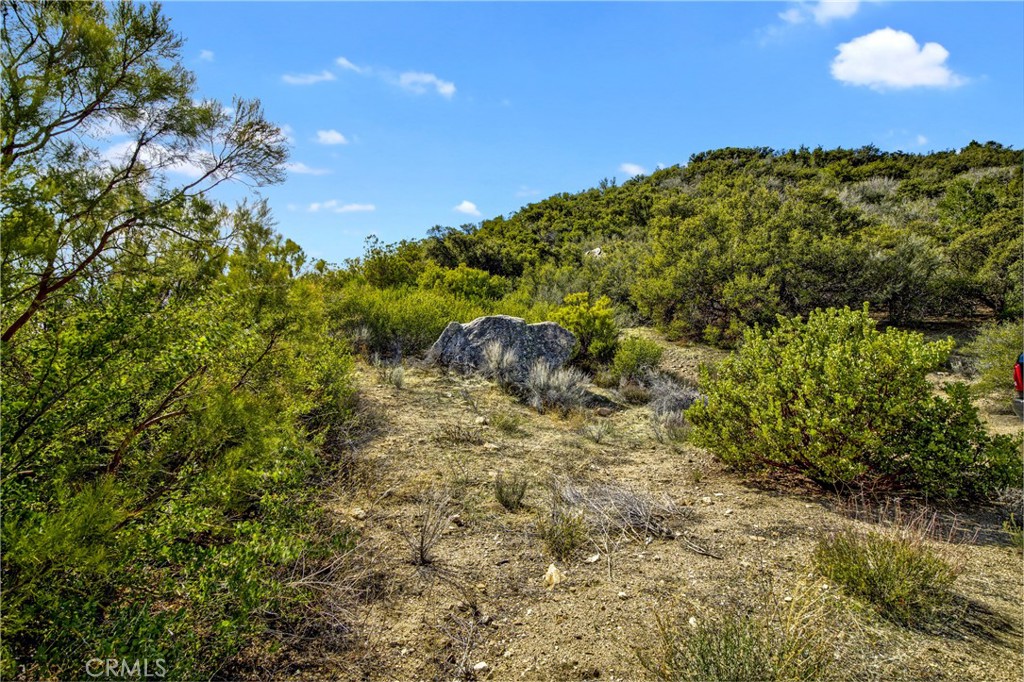 MLS #PW25064079 image #22