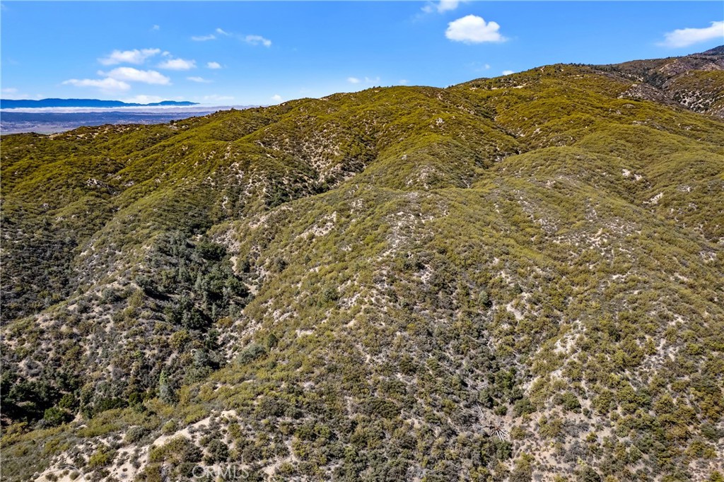 MLS #PW25064079 image #27