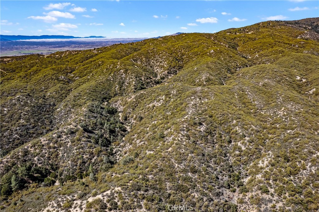 MLS #PW25064079 image #28